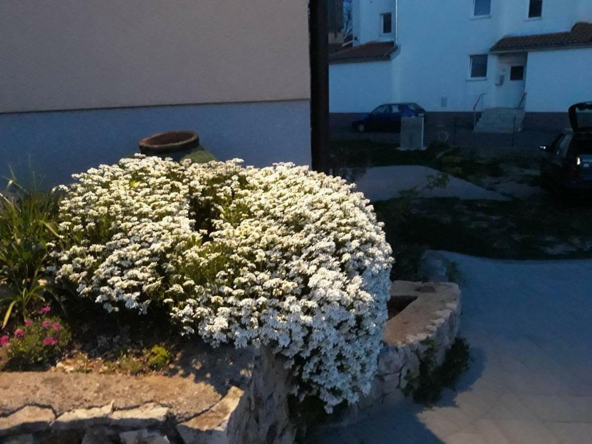 Apartment Viskovo מראה חיצוני תמונה